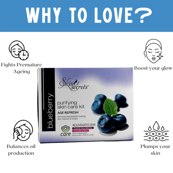 Blueberry Facial Kit - Image 2